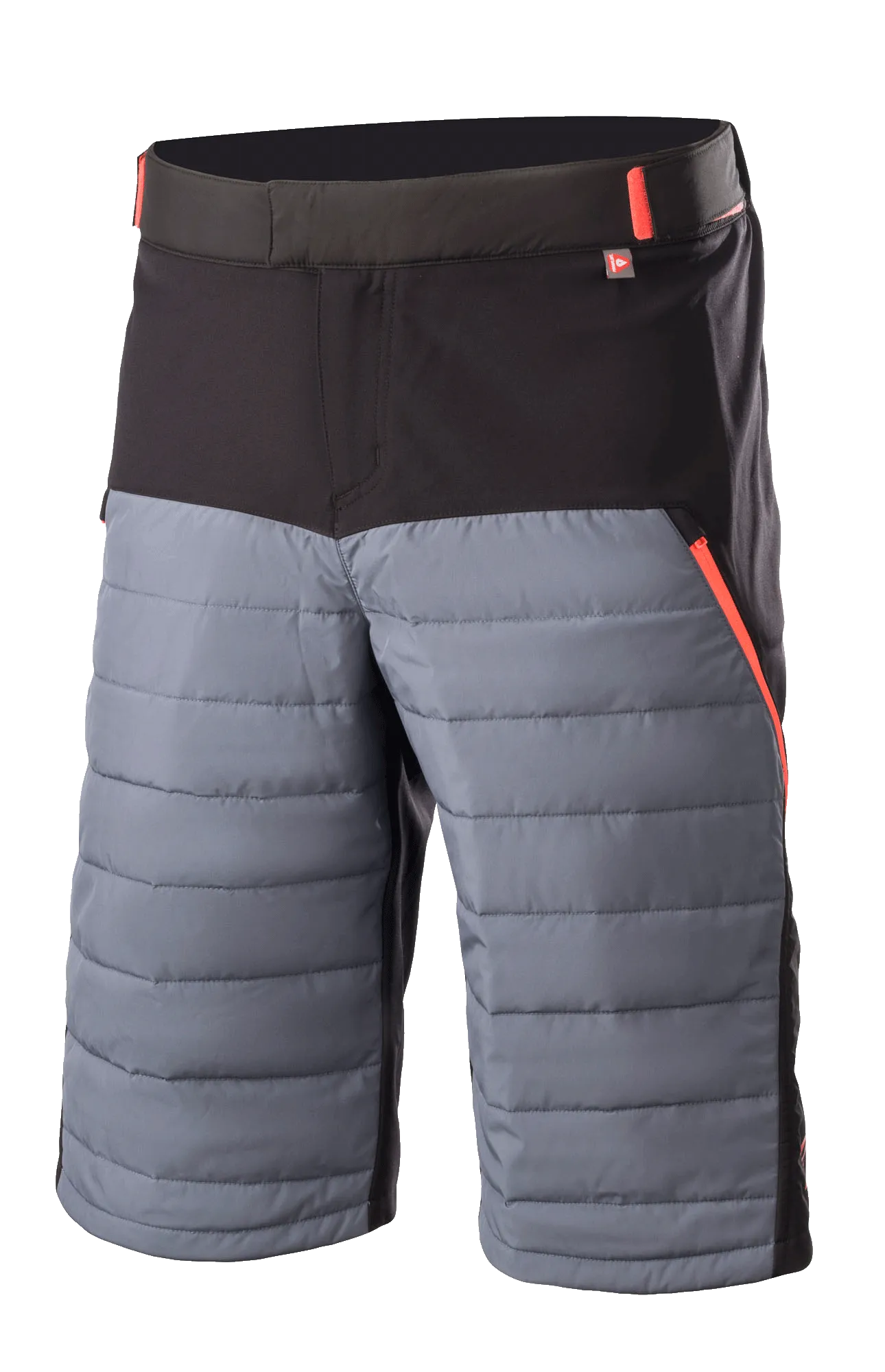 Denali 2 Shorts-