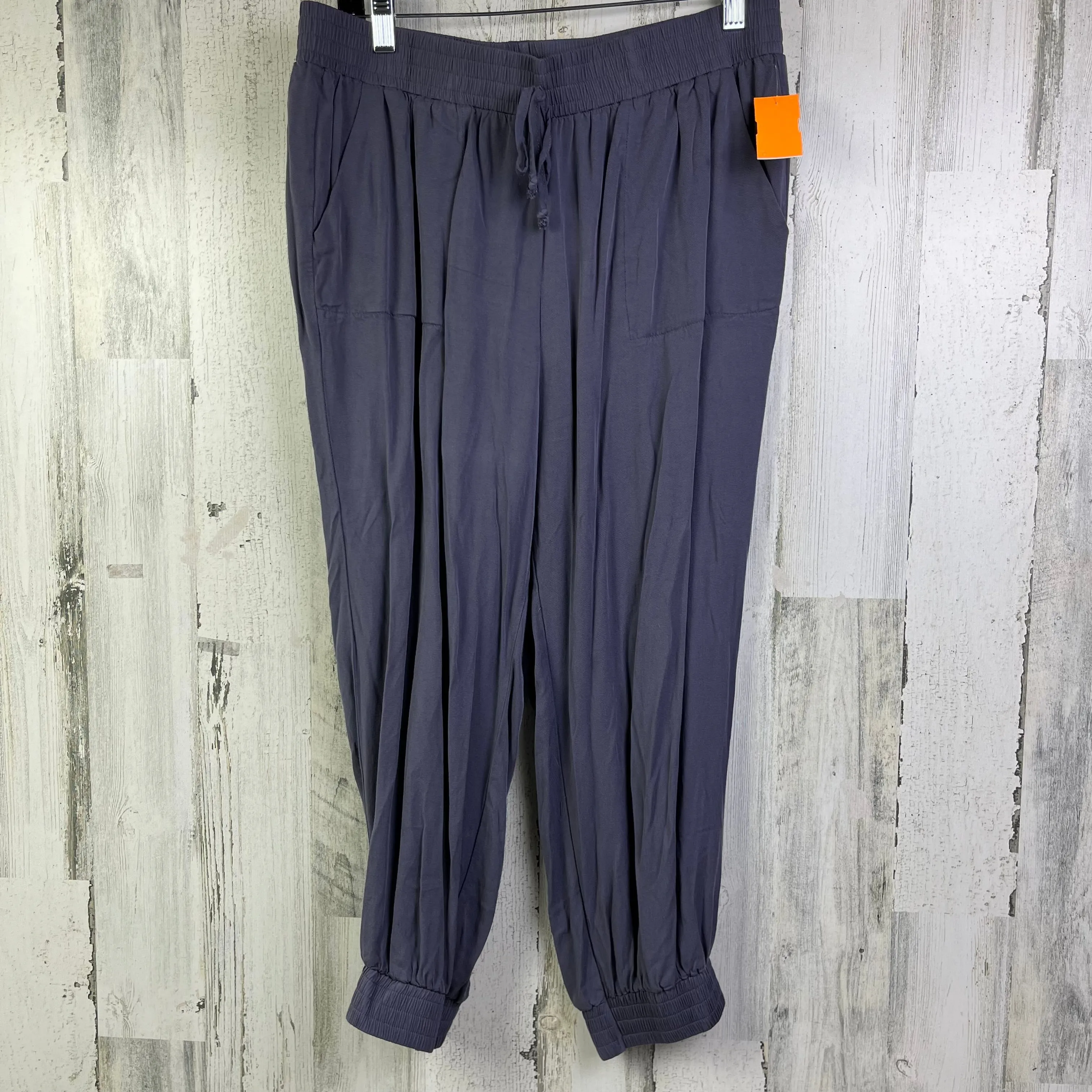 Pants Joggers By Hem & Thread  Size: 12