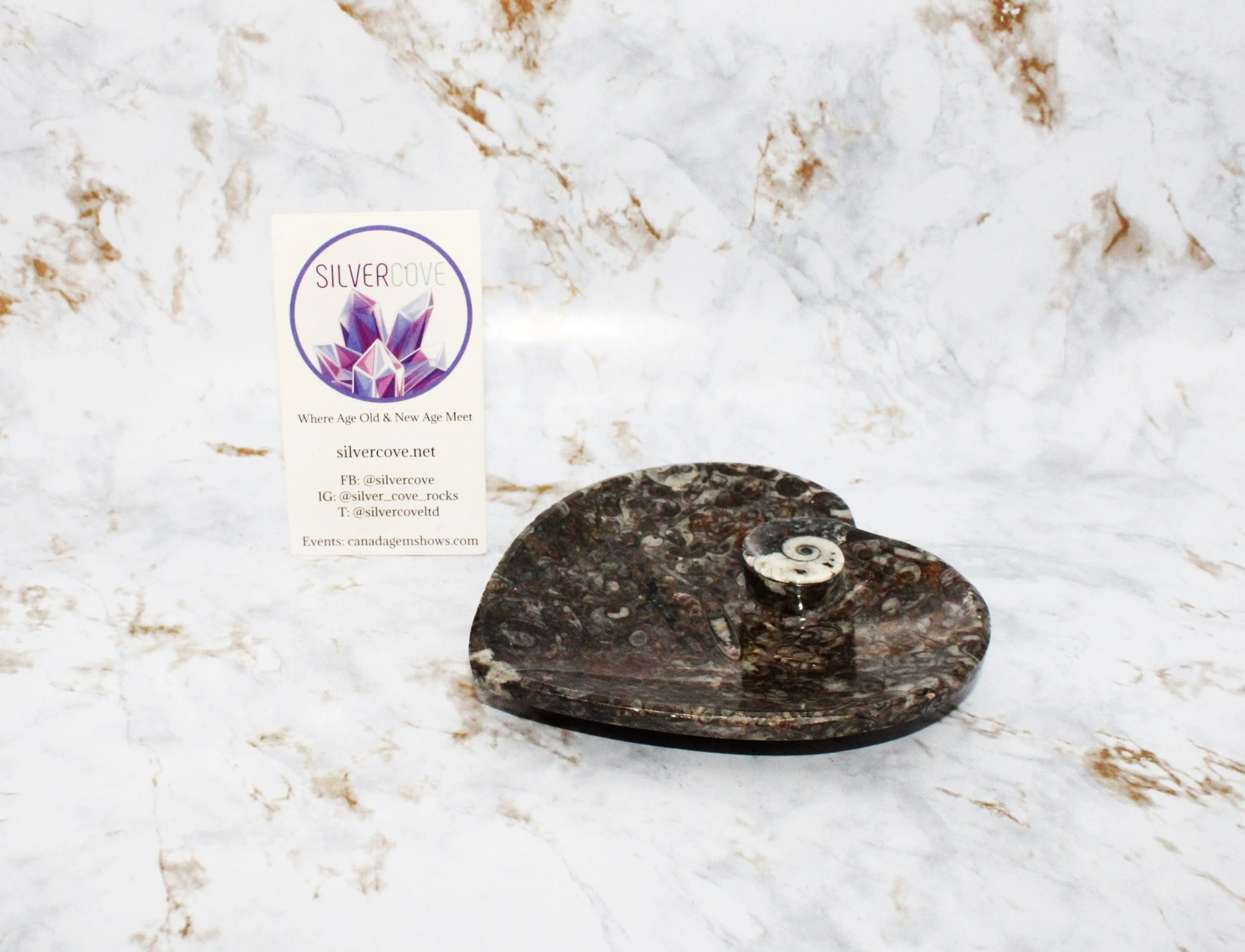 Polished Orthoceras Heart Plate