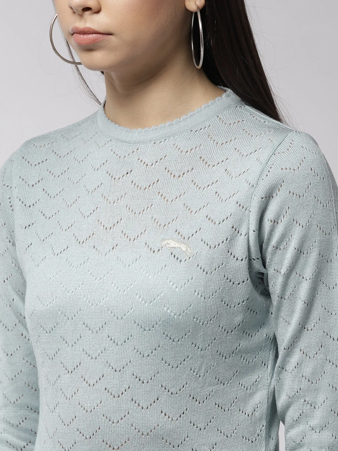 Women Self Design Blue Pullover